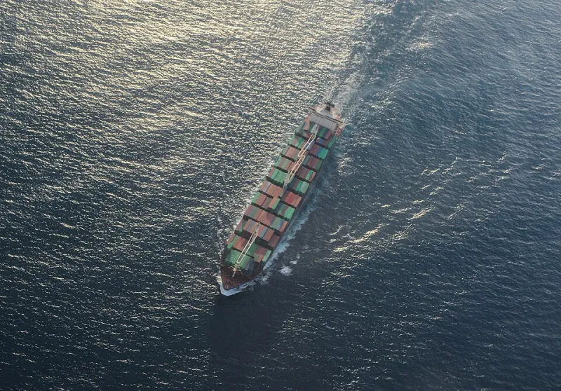 When Paperwork Speaks the Wrong Language: The Hidden Price Tag on Cross-Border Freight